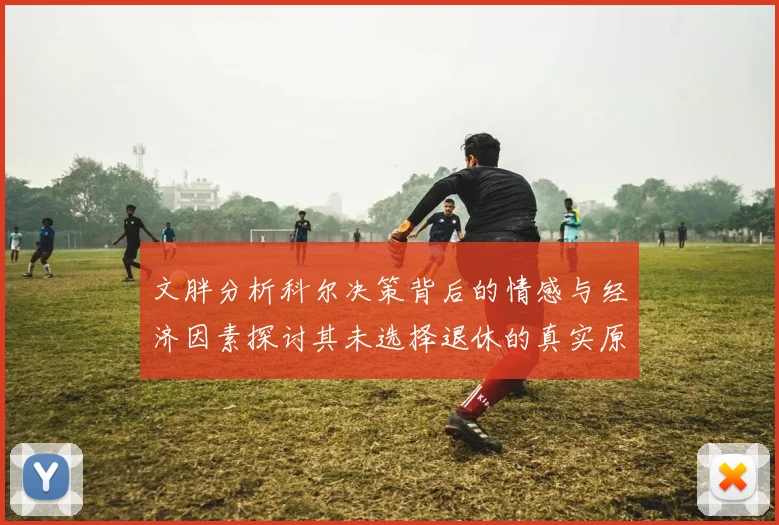文胖分析科尔决策背后的情感与经济因素探讨其未选择退休的真实原因